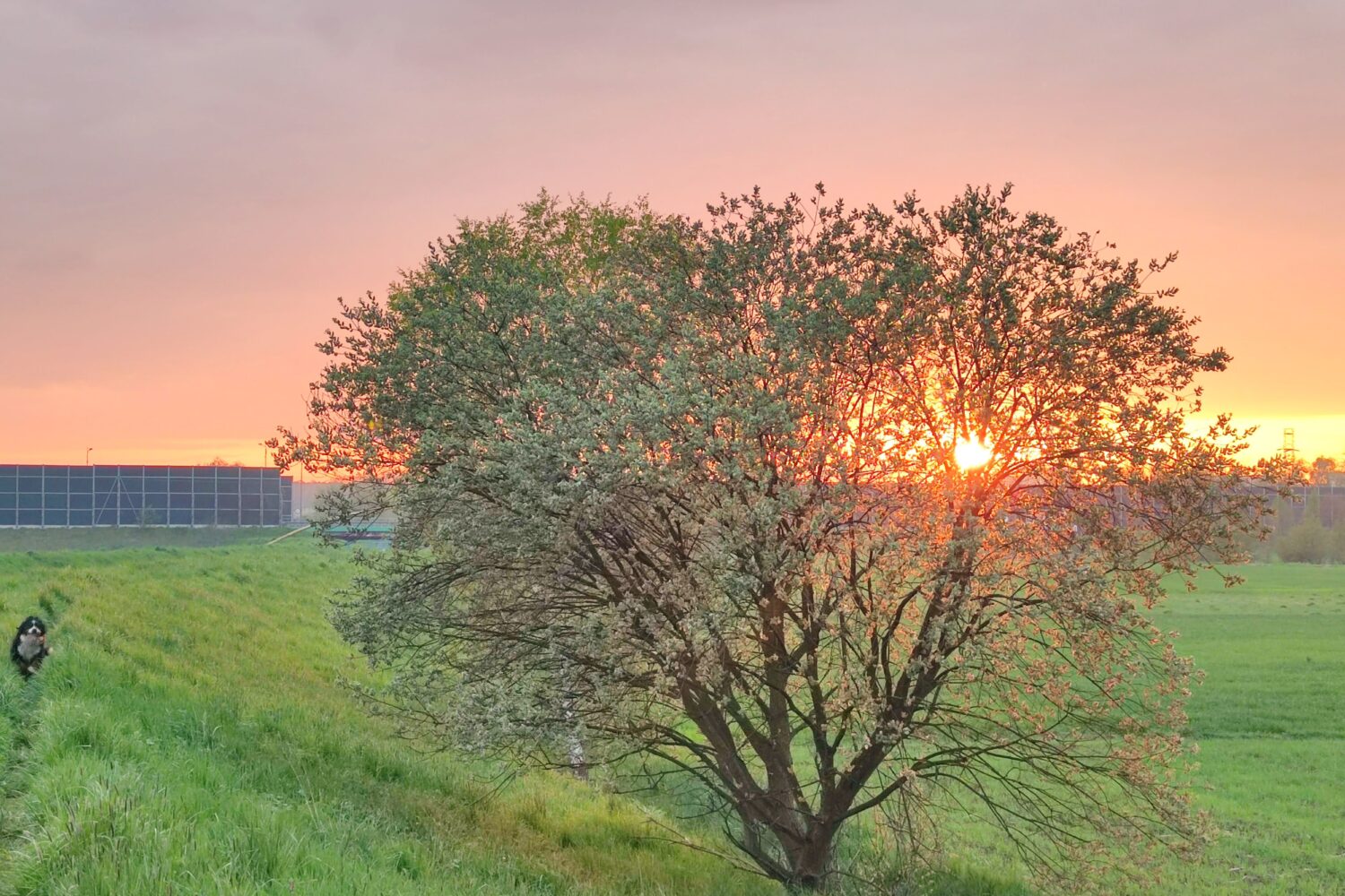 do ludzi i projektów podchodzę z miłością